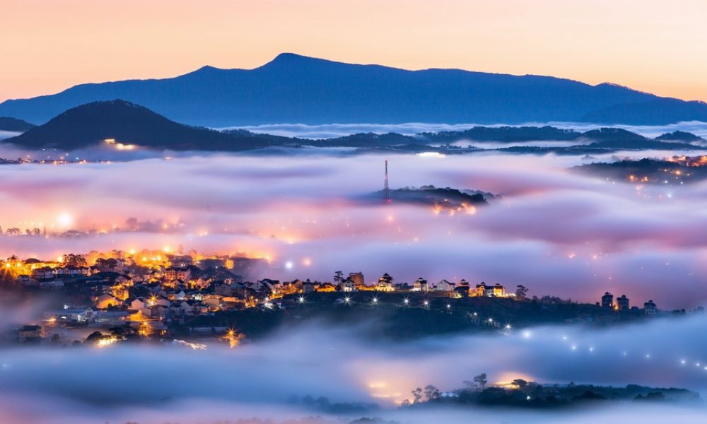 da-lat-in-december-cloud-hunting-sunflowers-festivals